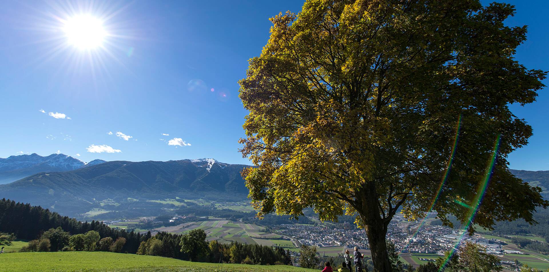 Wetter Reischach